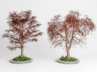 Two Arbor Trees With Red Leaves And Brown Trunks On Circular Bases With Green Grass 3d model