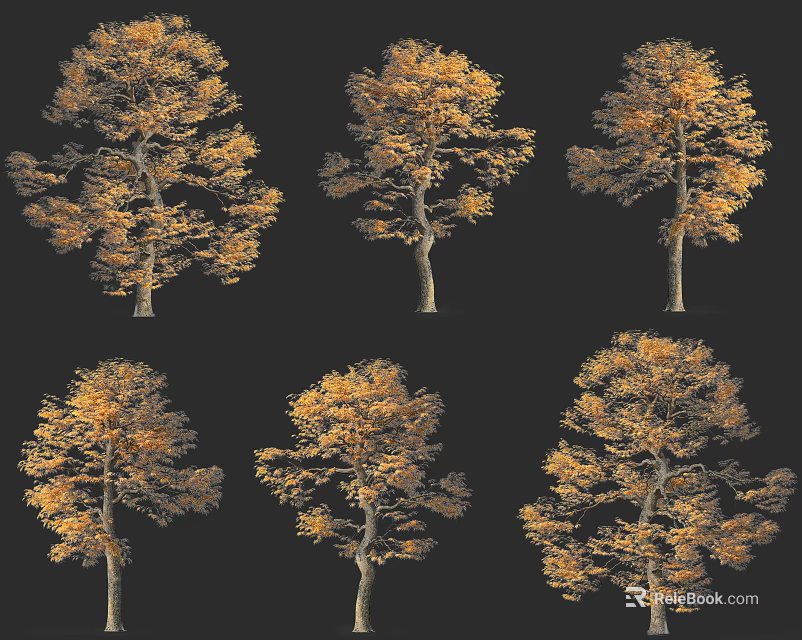 Golden Leaf Deciduous Trees Display Various Autumn Postures Against Dark Background 3d model