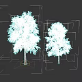 Realistic Botanical Painting Featuring Two Trees With Green Leaves And Brown Trunks On Black Background