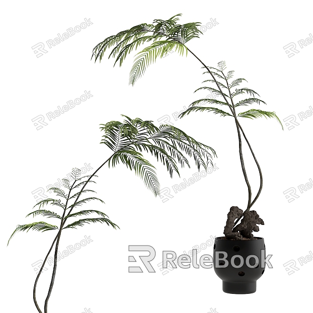 potted plant model