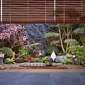 Zen Inspired Courtyard Garden With Wooden Deck Pink Cherry Blossom Tree And Rocky Stone Wall