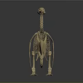 Artistic Detailed Wooden Animal Skeleton Sculpture with Long Neck and Claws
