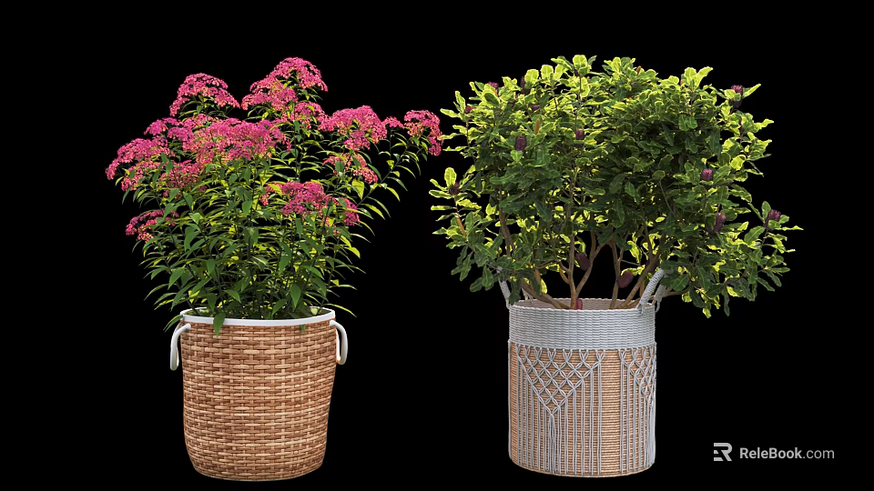 Pink Flowering and Green Leafy Potted Plants in Brown and Gray Patterned Woven Baskets 3d model 