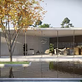Courtyard Garden With Lush Green Plants Trees Flowers And Wooden Deck Chairs