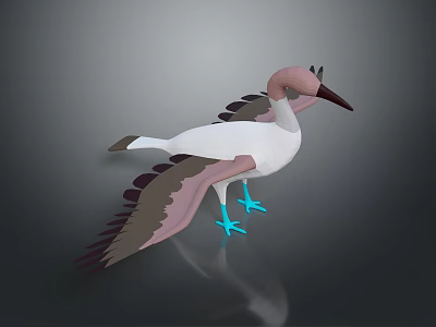 Beautiful Flight Animal Bird with Pink Head White Body Brown Wings and Blue Feet Standing 3d model
