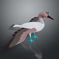 Beautiful Flight Animal Bird with Pink Head White Body Brown Wings and Blue Feet Standing