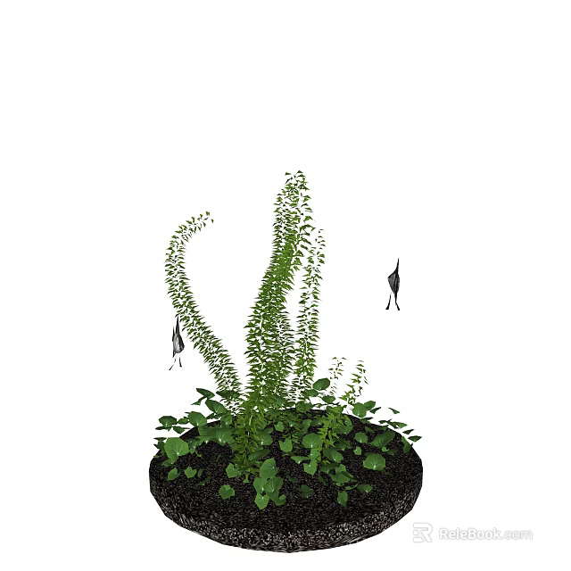 Aquarium Fish Tank Setup with Lush Green Aquatic Plants and Small Black Fish 3d model 