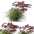 Bonsai Potted Plants With Red Spiked Flowers And Lush Green Foliage Clusters