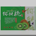 Green White Kiwi Fruit Gift Box With Fresh Kiwi Images And Butterfly Design
