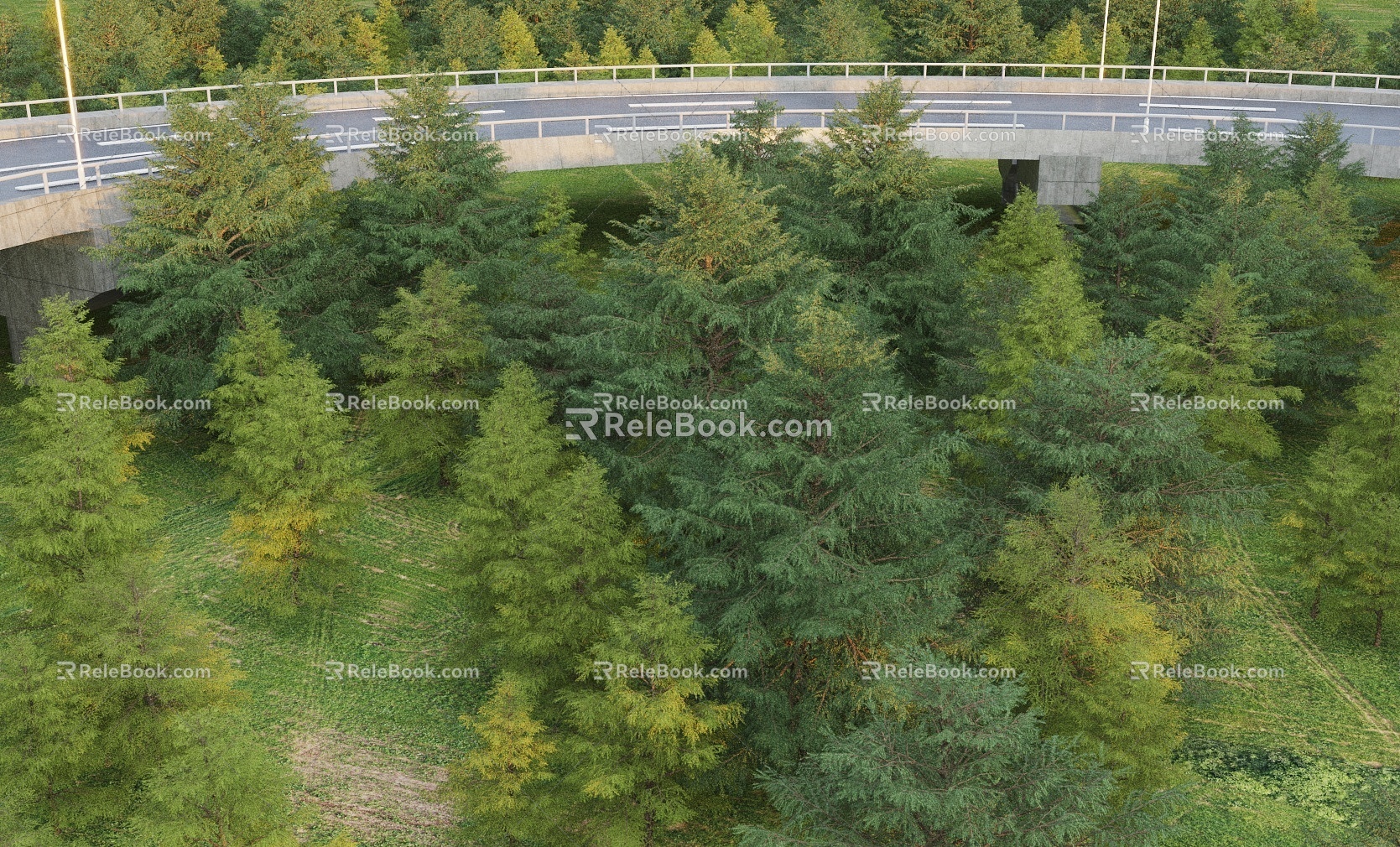 Modern Tree Cedar Group Tree Bird's Eye View Tree 3d model