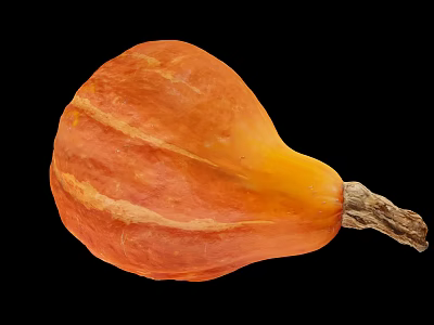 Fresh Ripe Orange Whole Pumpkin With Striped Skin And Natural Stem 3d model