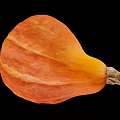 Fresh Ripe Orange Whole Pumpkin With Striped Skin And Natural Stem