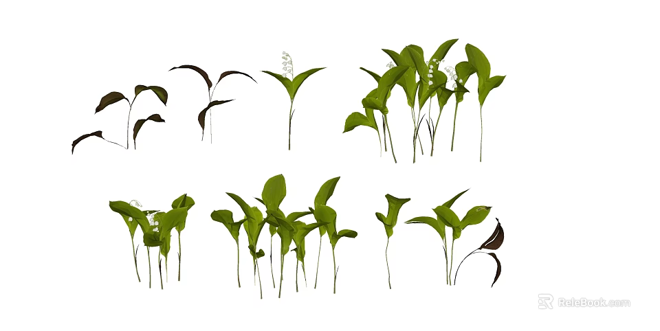 Collection Of Various Fresh Green Plants With Different Leaf Shapes And Stems 3d model 