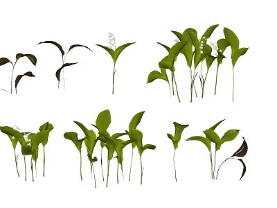 Collection Of Various Fresh Green Plants With Different Leaf Shapes And Stems 3d model