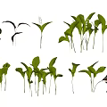 Collection Of Various Fresh Green Plants With Different Leaf Shapes And Stems