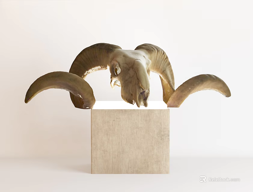 Ram Skull Sculpture with Large Curved Horns on Square Stone Base 3d model 