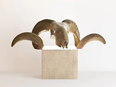Ram Skull Sculpture with Large Curved Horns on Square Stone Base 3d model