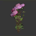 Neatly Arranged Pink And Purple Flowers With Green Stems Leaves On Gray Background With Reflections