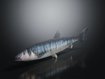 Fresh Whole Silver Fish With Clear Eyes And Blue Stripes On Dark Reflective Background 3d model