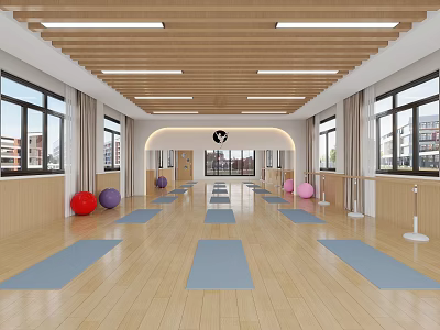 Kindergarten Spacious Activity Room With Wooden Flooring Blue Yoga Mats And Colorful Balls 3d model