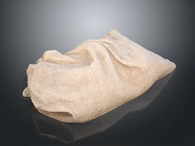 Beige Soft Fabric Storage Bag With Wrinkled Texture For Everyday Household Use 3d model