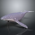 Purple Whale With White Spots 3D Model On Dark Reflective Background