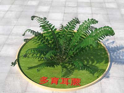 Lush Green Fern Like Shrub Growing In Circular Planter With Green Base 3d model