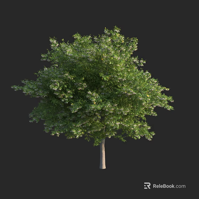 Lush Green Arbor With Dense Foliage And Slender Trunk In Natural Form 3d model 