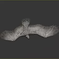Majestic Eagle with Patterned Feathers Spreading Wings Flying as Airborne Animal