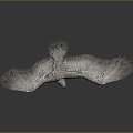 Modern Owl Raptor 3d model