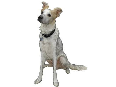 Modern Dog Animal Dog 3d model Modern Dog Animal Dog 3d model