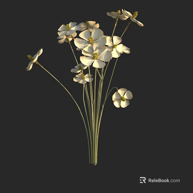 Elegant White Flower Bouquet With Yellow Stamens Slender Green Stems And Dark Background 3d model 