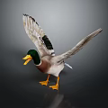 Duck With Green Head Yellow Beak And Orange Feet Spreading Wings On Dark Background