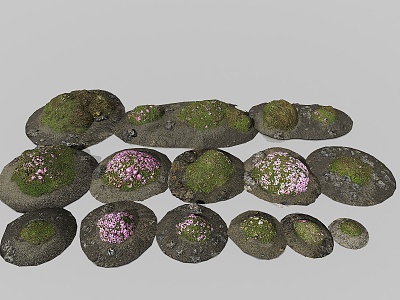 Stone Rock Cliff Stone Ground Moss Stone Gobi Desert Pavement Stone Pile Sand Stone Shaped Stone 3d model