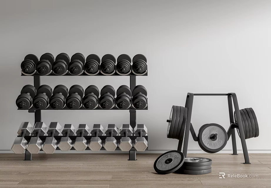 Organized Sports Equipment With Black And Silver Dumbbells On Rack And Weight Plates 3d model 