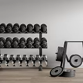 Organized Sports Equipment With Black And Silver Dumbbells On Rack And Weight Plates