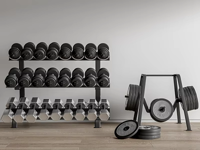 Organized Sports Equipment With Black And Silver Dumbbells On Rack And Weight Plates 3d model