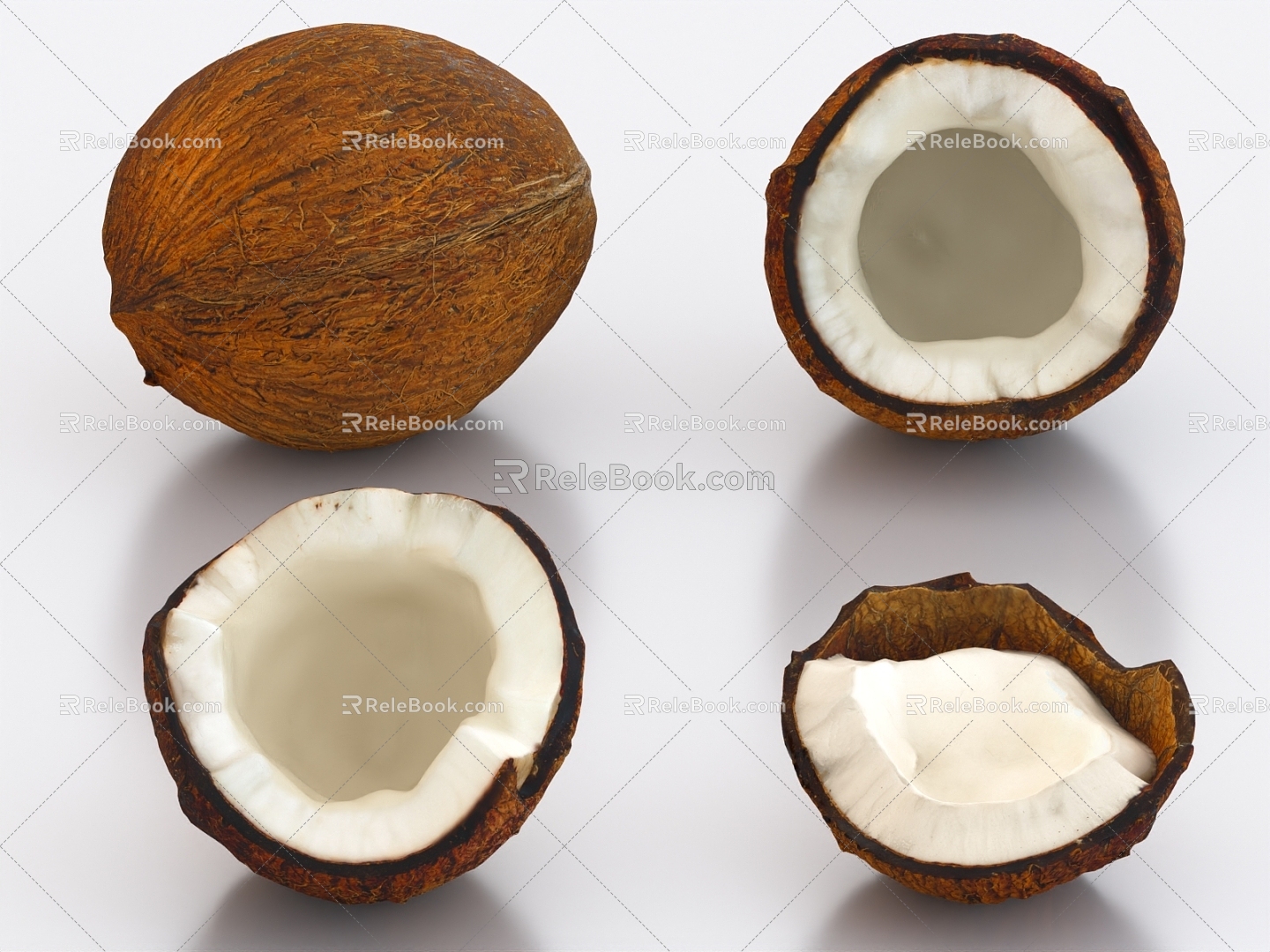 coconut coconut shell coconut fruit 3d model