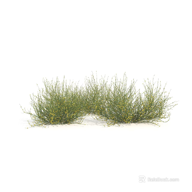 Lush Green Grass With Tiny Yellow Flowers Growing In Natural Arrangement 3d model