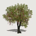 Landscape Tree Blessing Tree 3d model