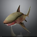Shark with Yellow and Brown Stripes Open Mouth Red Teeth 3D Model on Black Background