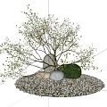 Natural Stone and Wood Tree Branches with Pebbles on Garden Ground Landscape