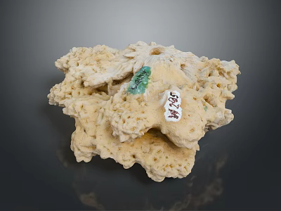 Natural Marine Sponge Animal With Green And White Tags On Porous Surface 3d model