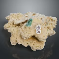 Natural Marine Sponge Animal With Green And White Tags On Porous Surface