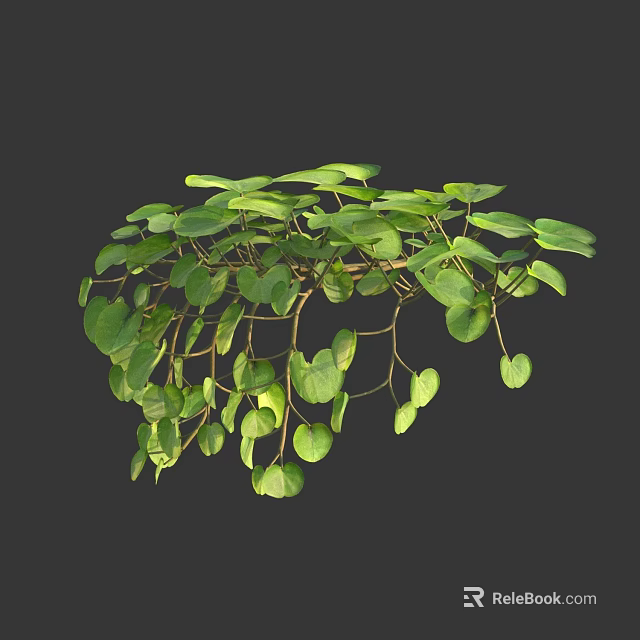 Beautiful Green Hanging Plant With Heart Shaped Leaves And Lush Trailing Vines 3d model 