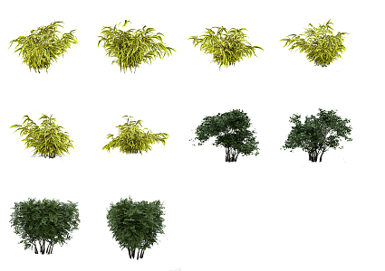 Modern shrubs 3d model