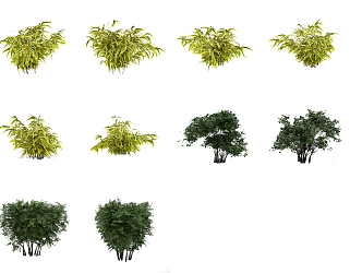 Modern shrubs 3d model