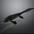Ichthyosaur Model With Streamlined Body Blue Black Stripes Pointed Head Long Tail And Flippers