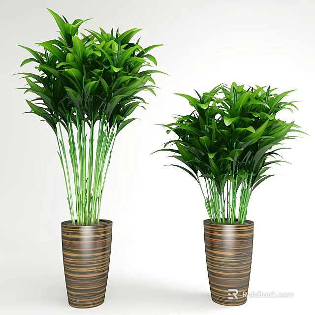 Bonsai Potted Plants with Lush Green Leaves in Striped Brown Pots for Indoor Decor 3d model 