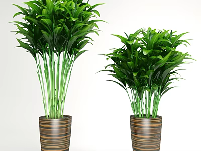 Bonsai Potted Plants with Lush Green Leaves in Striped Brown Pots for Indoor Decor 3d model